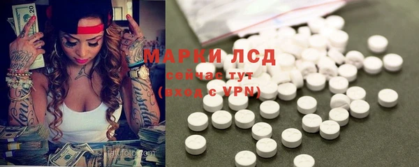 прущий лед Карпинск