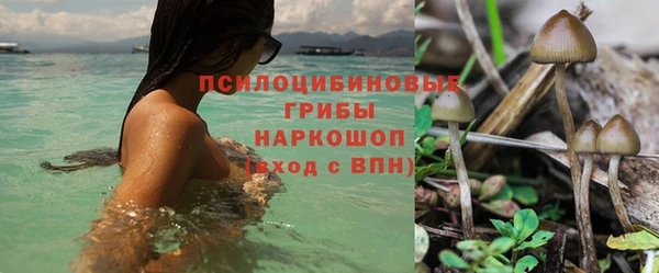 синтетический гашиш Касимов