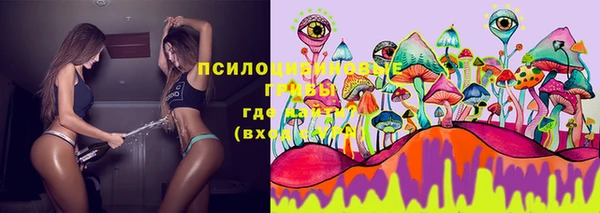 прущий лед Карпинск