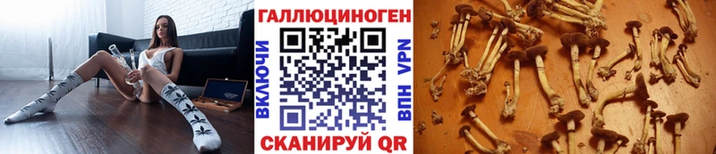 Галлюциногенные грибы мицелий  Купить  Заволжье 