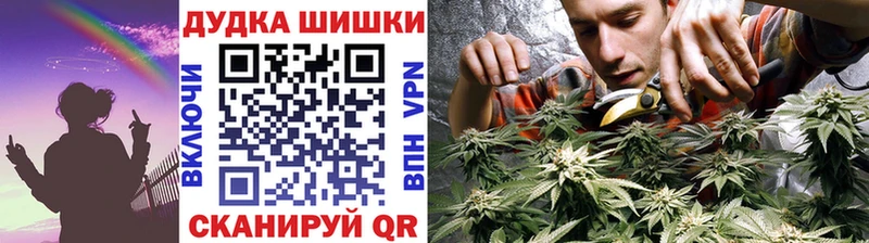 Бошки Шишки SATIVA & INDICA  Купить закладки  Заволжье 